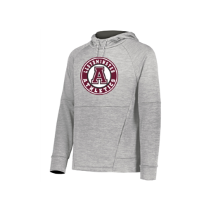 ADULT ALL-PRO PERFORMANCE FLEECE HOODIE