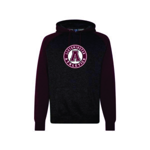 Independent Trading Co. - Raglan Hooded Sweatshirt